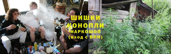 мескалин Ельня